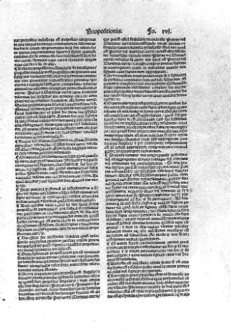 xvi
