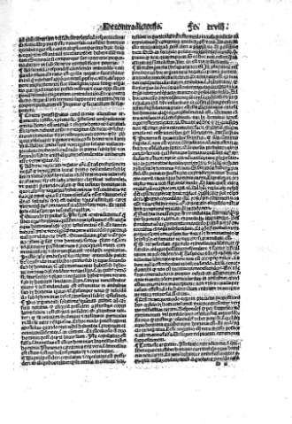 xxviii