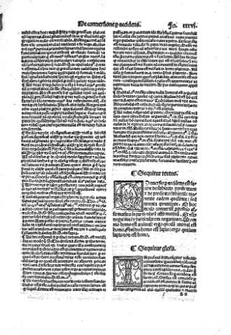 xxxvi