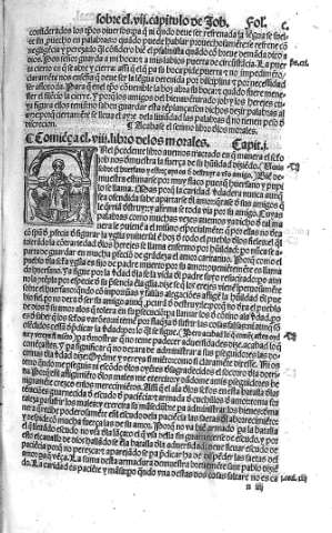 [Libro VIII] c