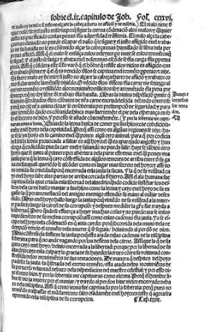 cxxxvi