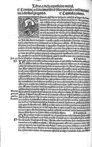 Libro X