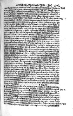 clxvii