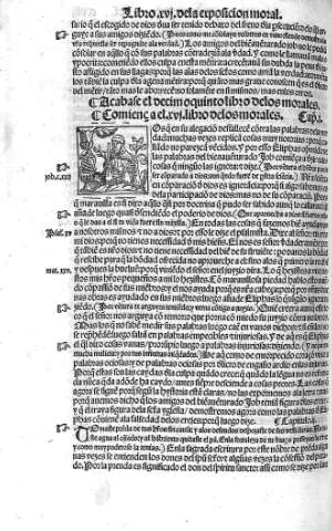 Libro XVI
