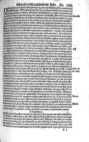 xviii