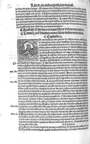 Libro XIX