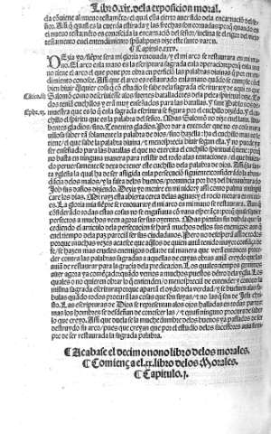 Libro XX