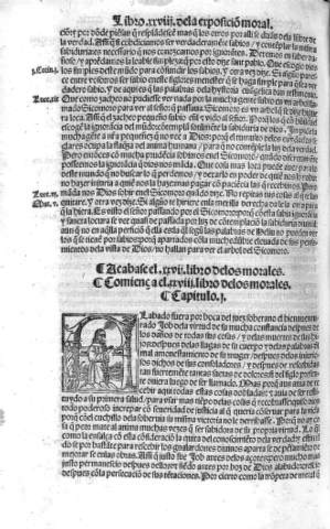 Libro XXVIII