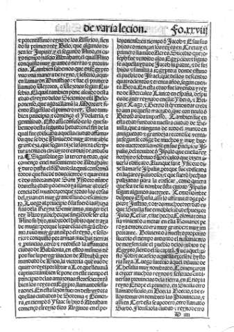 xxviii