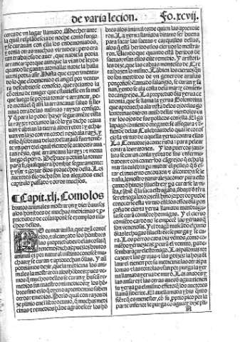 xcvii