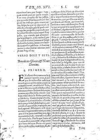 [Verso XVI] 293