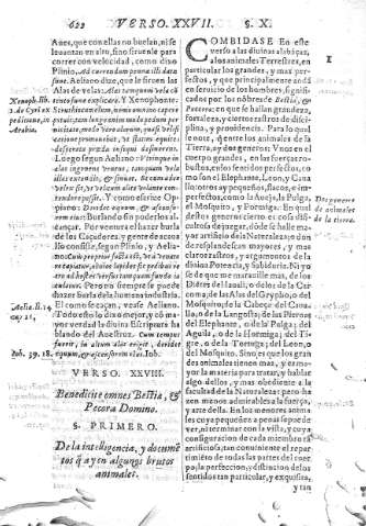 [Verso XXVIII] 622