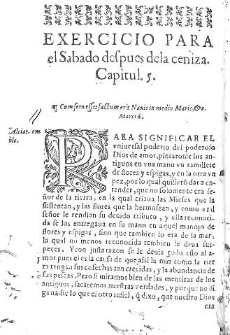 Exercicio para el Sabado despues dela ceniza