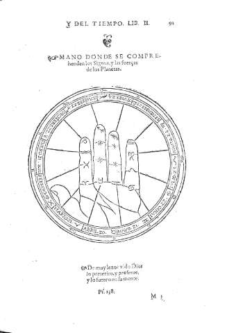 91