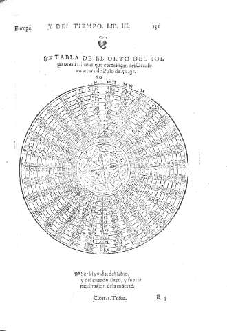 131