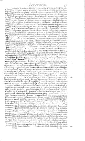 91