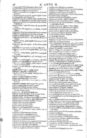 26