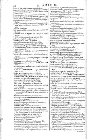 36