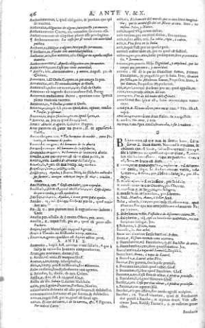 [B] 46