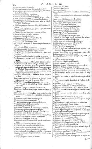 62