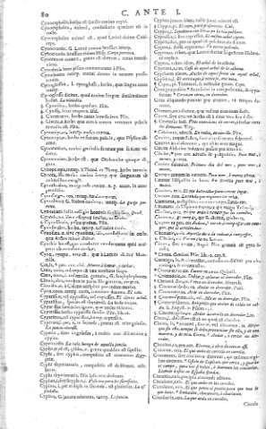 80