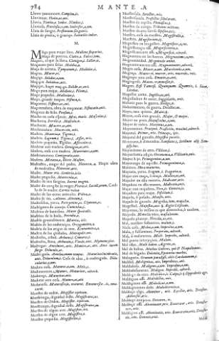 [M] 784