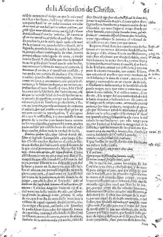 61