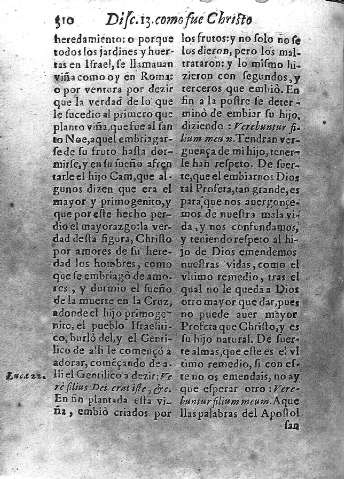 310