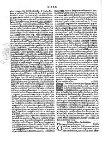 Liber XII