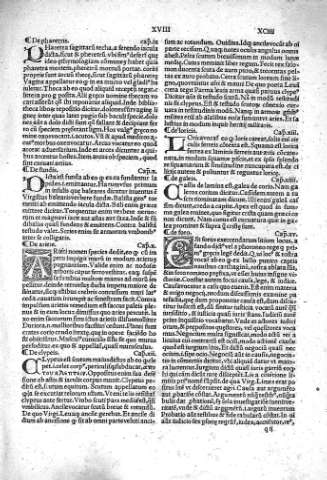 q ii