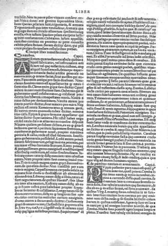 Liber XIX