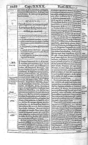 1066