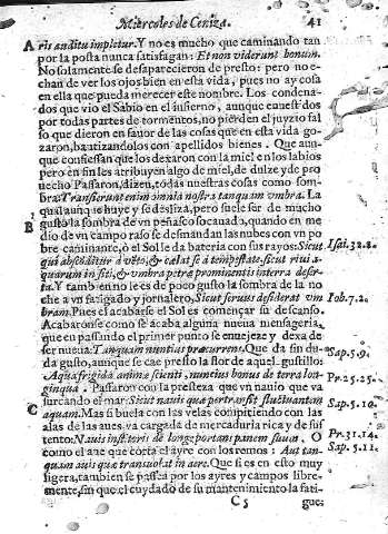 41