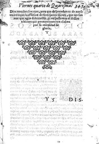 Y 5