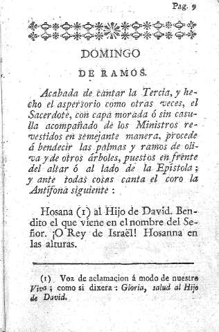[Domingo de Ramos] 9