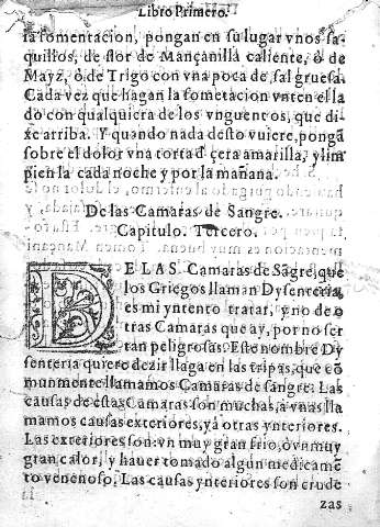 Capitulo Tercero. De las Camaras de Sangre