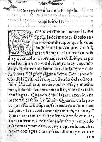 Capitulo 12. Cura particular de la Erisipela