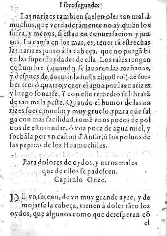 Capitulo Onze