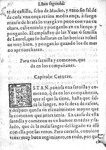 Capitulo Catorze