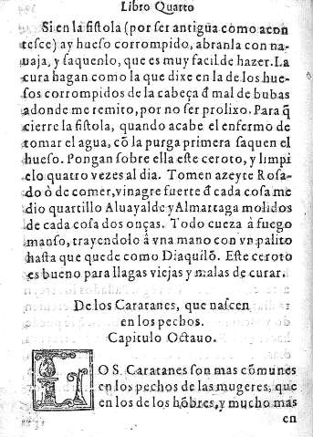Capitulo Octavo