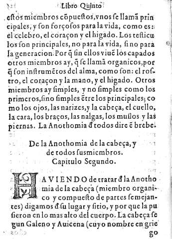 Capitulo Segundo