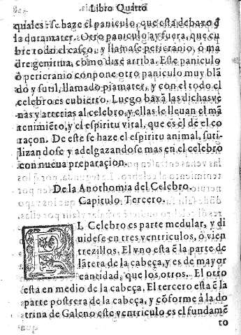 Capitulo Tercero