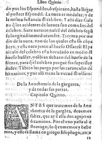 Capitulo Quinto