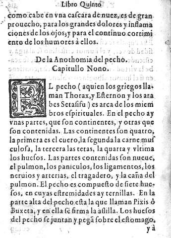 Capitulo Nono