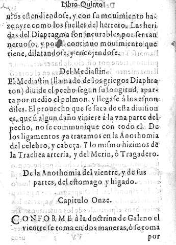 Capitulo Onze