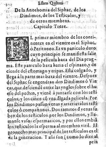 Capitulo Treze