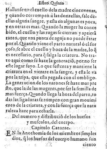 Capitulo Catorze