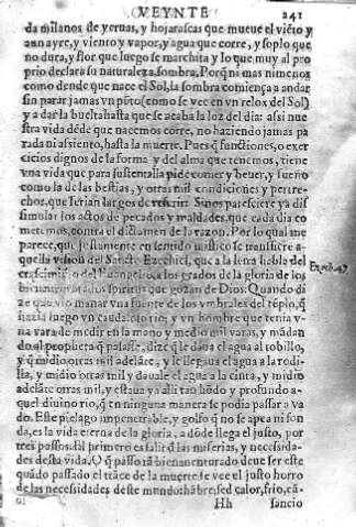 241