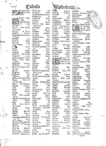 Tabula Alphabetica