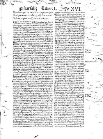 XVI